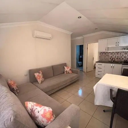 Safran * 阿拉尼亚