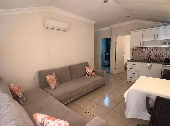 Safran * 阿拉尼亚